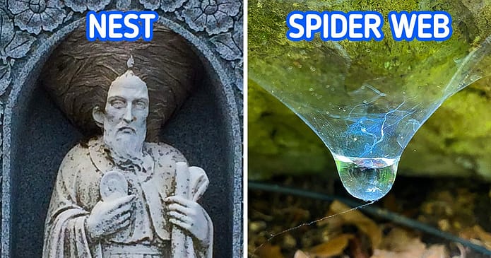 17 Times Nature Left a Memorable Moment in Our Daily Routine