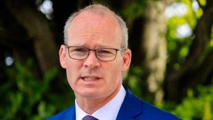 Irish nationals should wait for guidance to leave Afghanistan – Coveney