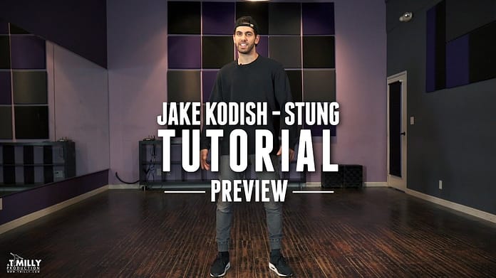 Dance Tutorial [Preview] Quinn XCII – Stung – Jake Kodish Choreography