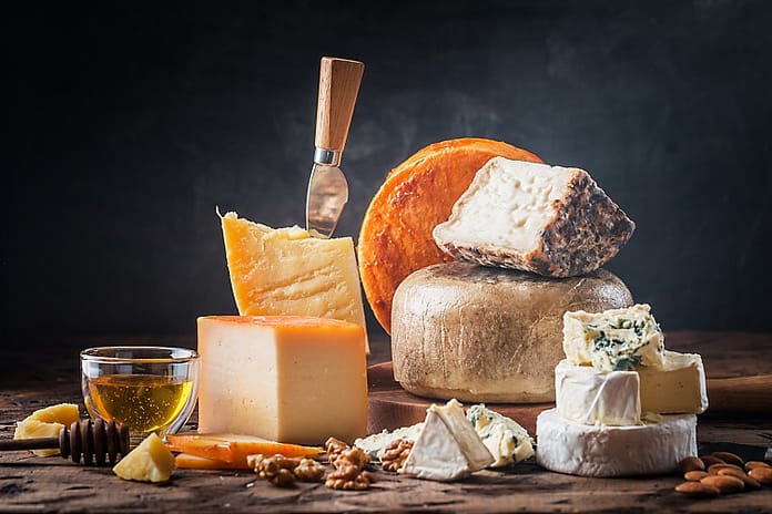 Combining precision fermentation with European cheese making: ‘Plant-based dairy can’t convince flexitarians’